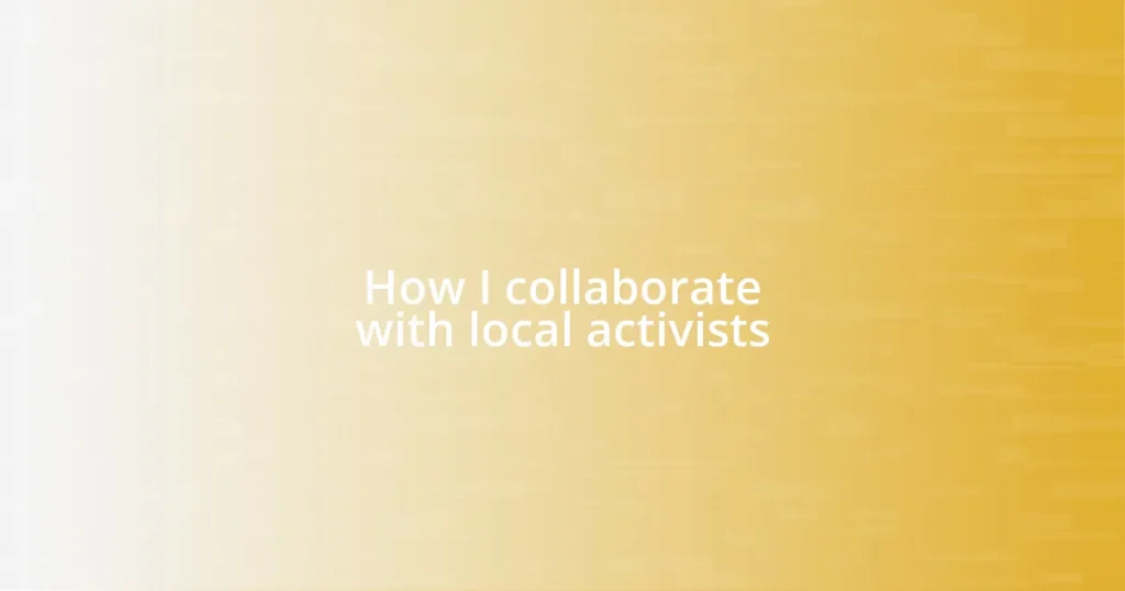 How I collaborate with local activists