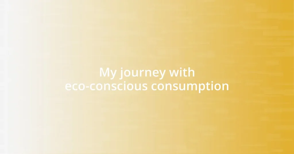 My journey with eco-conscious consumption