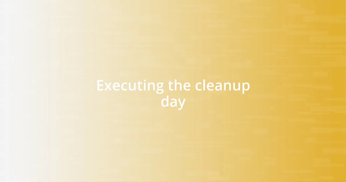 Executing the cleanup day