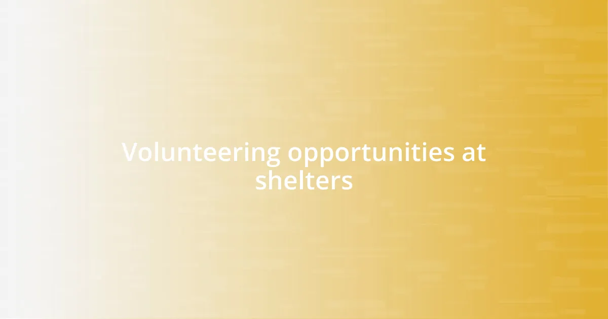 Volunteering opportunities at shelters