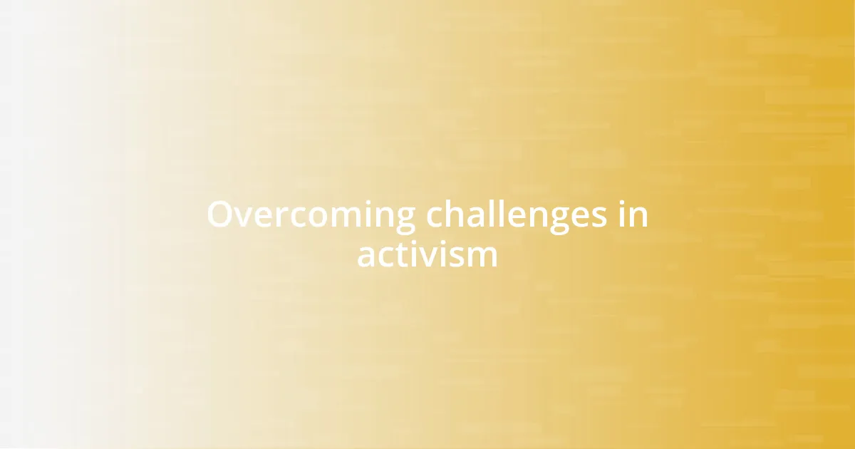 Overcoming challenges in activism